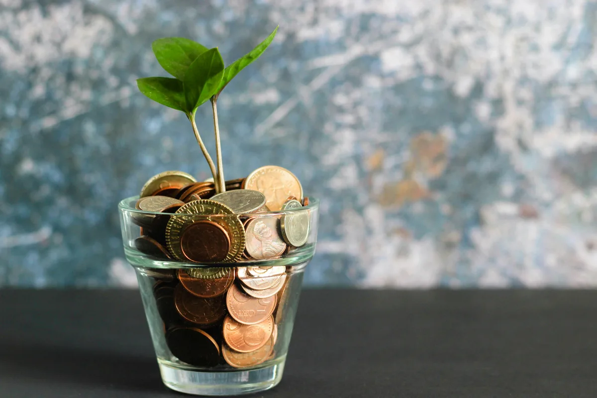 Potted plant representing doubling-time growth explained by the Rule of 72